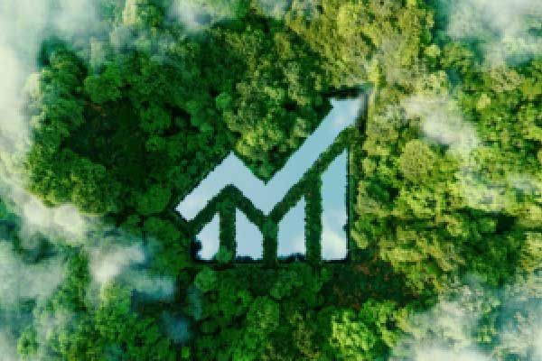 朱民：将人民币打造成强货币，对中国和世界都至关重要